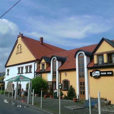 Penzion Patak Kamyk nad Vltavou Exteriör bild