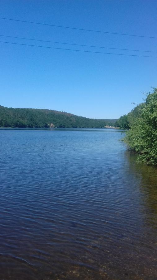 Penzion Patak Kamyk nad Vltavou Exteriör bild